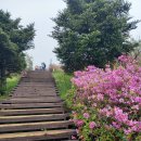 지리산 서북능선(바래봉). 철쭉동산에 몸을 싣다 이미지