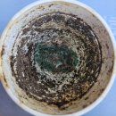 거목축산 이미지