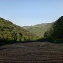 솔가펜션 이미지