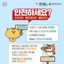 매일안전&광고 이미지