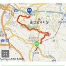 푸른빛 태권도장 | 해파랑길6코스 울산지역(덕하역-선암호수공원-울산대공원-고래전망대-태화강전망대(2021.12.11)