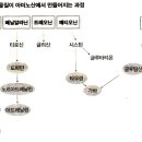 백헌한의원 이미지
