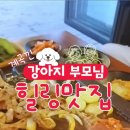 강아지,반하다 | 강촌 엘리시안 맛집 또오리 맛과 계곡에 반하다(현지인 맛집)