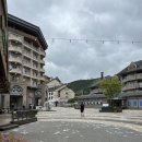 알펜시아당구장 이미지