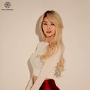 또치 Daum카페