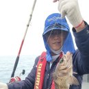 포항시남구장기면양포보건진료소 이미지