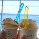 미니스톱 강릉영진점 | 강릉 주문진 오션뷰 카페 순두부젤라또 3호점 : 영진해변 근처 내돈내산 추천