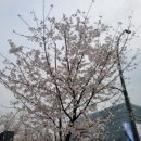 마곡보타닉공인중개사사무소 | 마곡지식산업센터 보타닉게이트 매매·임대 가이드