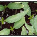 참들농장 이미지