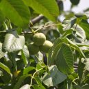 석규농장 이미지