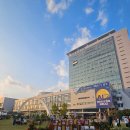 광주광역시청 | #2 광주 서구 광주광역시청 / 2025 광주 김치축제 우주최光