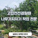 성복농장 | 고압전선걸릴때나무가지치기 작업 전문 - 동탄홈케어