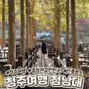 가을소녀 | 청주여행 청남대 충북 가을축제 단풍명소 후기