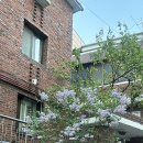 러블티 - 영등포구 영중로 20 | 러블티
