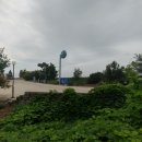 선장면 아산만로 이미지