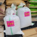 [02/28] 프리저브드 플라워 미니센터피스 - 원데이 클래스 | 토동이다육과 플라워그린리더 AI 를 활용하여 홍보