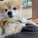 대월놀이공원 이미지