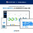 레이시스 이미지