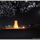 신라의 달밤 이미지