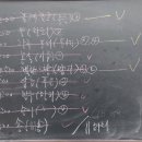 화니오기 펫살롱 이미지