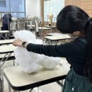 꿈의 애견미용 이미지