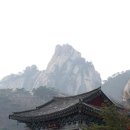 세명메디텍 이미지