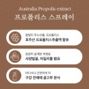 [상아제약] 프로폴리스 스프레이 이미지