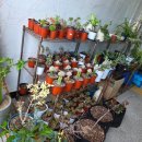 안창마을 커뮤니티센터 이미지