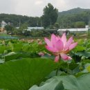 이동(내동) 마을회관 이미지