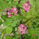 서상농장 이미지