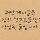 인천부평 요미독앤캣 강아지분양 고양이분양 이미지