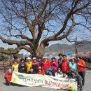 구봉산길 이미지