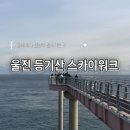 스카이(주) | 울진 가볼만한 곳, 등기산 스카이워크 방문 후기