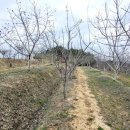 양지바른공인중개사사무소 이미지