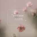 땅끝정인숙칼국수 이미지
