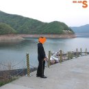 소양강수목원 이미지