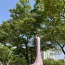 덕유어린이공원 | 2024 팀앤팀 워터런 기부 걷기 후기(feat. 서울 나들이)