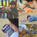 그린파크팬션 | 홍천 가볼만한곳 아이고고 하이퍼그린 스마트팜 카라반 글램핑장 숙소 아이랑 가족여행 추천