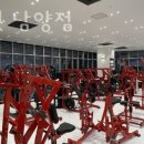 올인핏 이미지