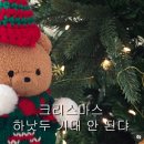 [12월 3주차] 크리스마스 하낫두 기대 안된다