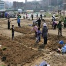 솔이농장 이미지