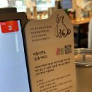 일등치킨 | 미금역 외식 :: 분당 사케동 일등 맛집 하치로돈부리 미금점