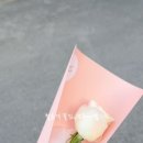 쥬마벨 이미지