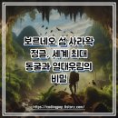 우림해양개발(주) | 보르네오 섬 사라왁 정글, 세계 최대 동굴과 열대우림의 비밀