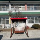 음성여자중학교 이미지