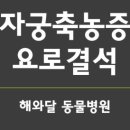 해와달동물병원 이미지