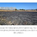 어제자 울산 대형 화재 이미지