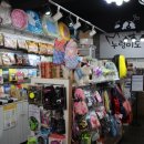 누렁이도찰스로애견샵