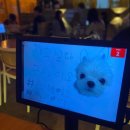 9425(구사이오) 이미지