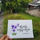 수채화캘리그라피 이미지